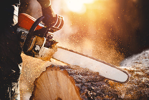 Chainsaw Blade Sharpening